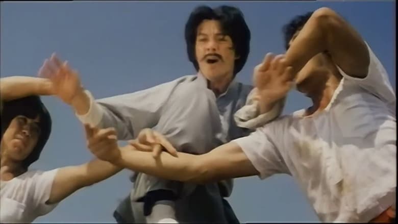 кадр из фильма 龍虎旋風