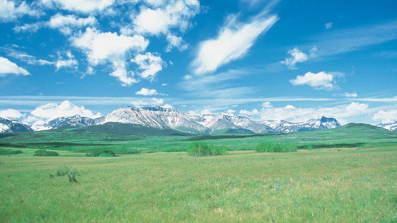 кадр из фильма Wind, Grass, and Sky: A Passion for Prairie