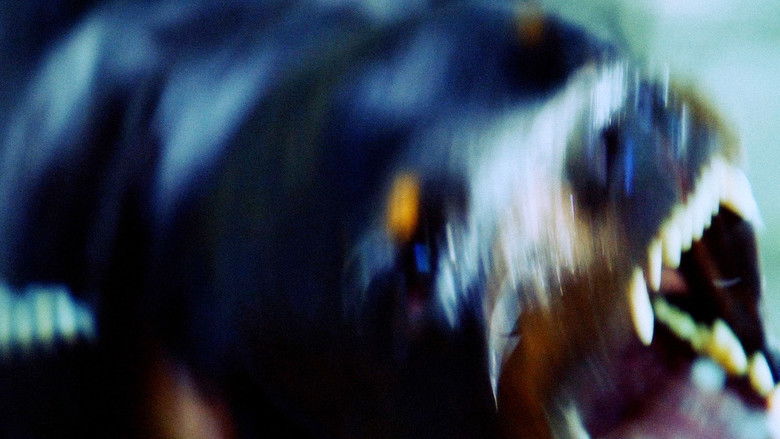 кадр из фильма Dizem que os cães veem coisas