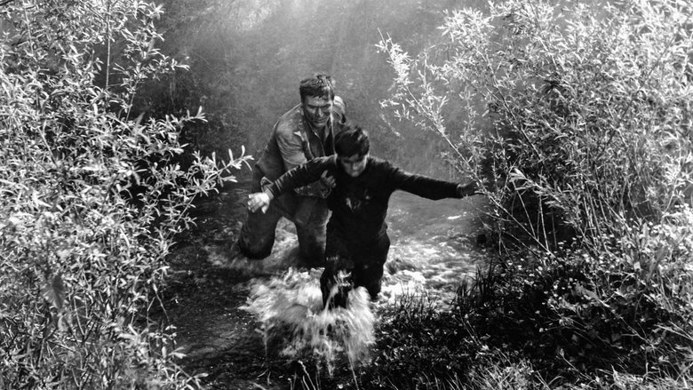 Не оглядывайся, сынок!