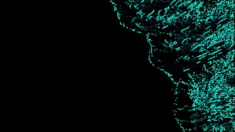 кадр из фильма Shapeless Tracking