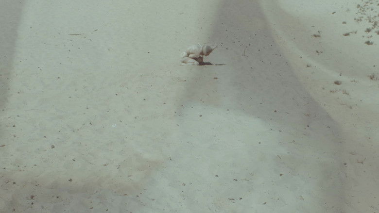 кадр из фильма Blessed Are Those Who Grieve