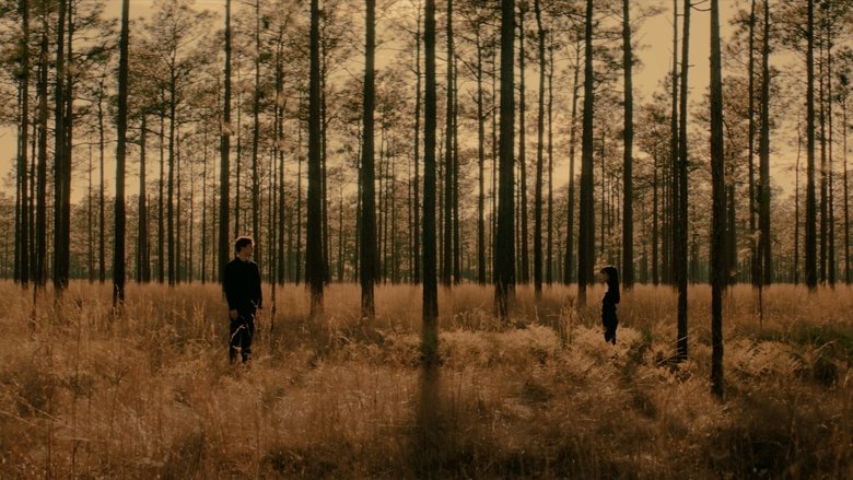 кадр из фильма The Space Messenger