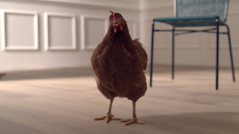 кадр из фильма L’occhio della Gallina