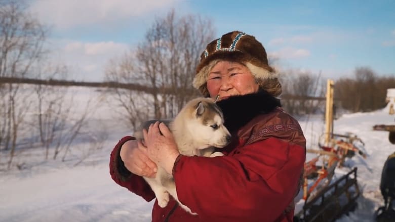 кадр из фильма RUSSIE, KAMTCHATKA, Terre de feu et de glace