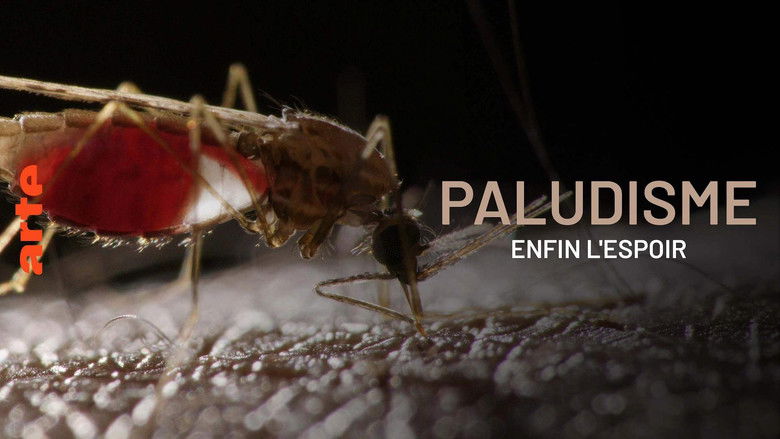 кадр из фильма Paludisme, enfin l'espoir