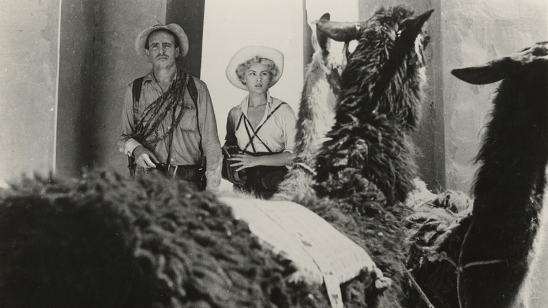 кадр из фильма Daughter of the Sun God