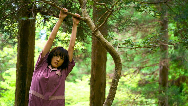 кадр из фильма ルート29