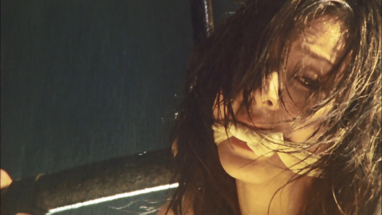 кадр из фильма 花と蛇 2 パリ／静子