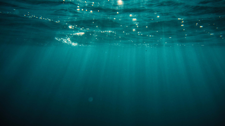 кадр из фильма At Sea