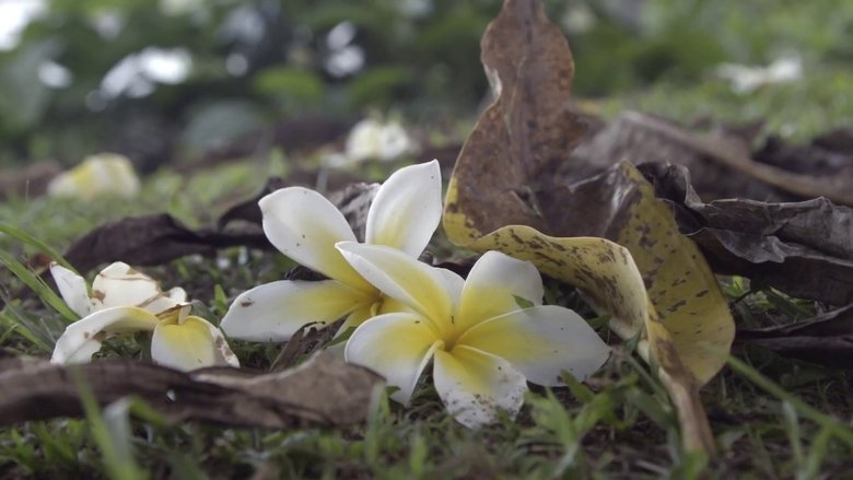 кадр из фильма Ram Dass, Going Home