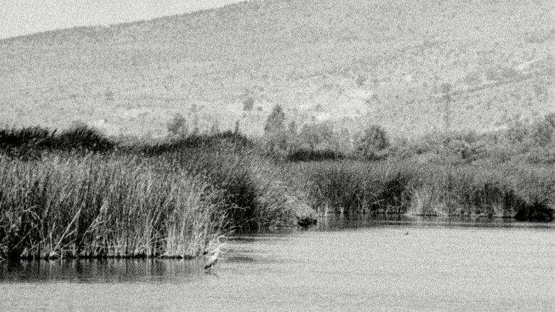 кадр из фильма Humedal