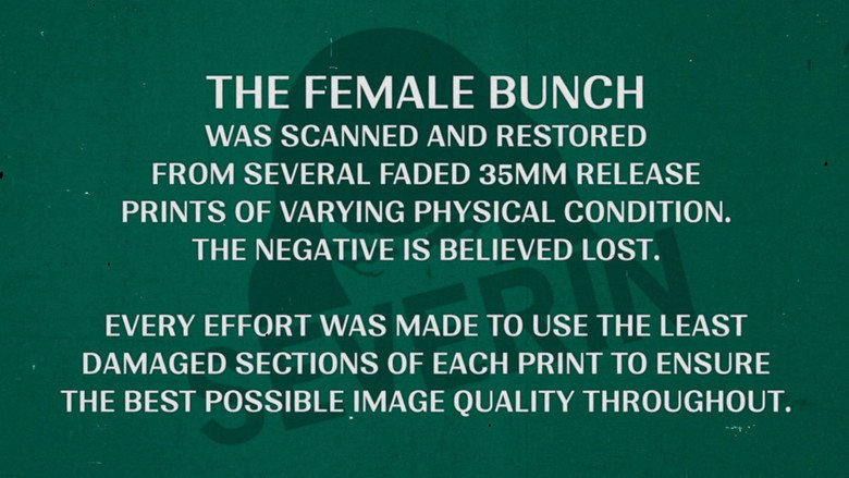 кадр из фильма The Female Bunch