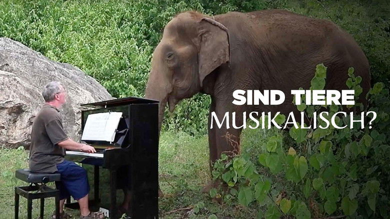 кадр из фильма The musical animal