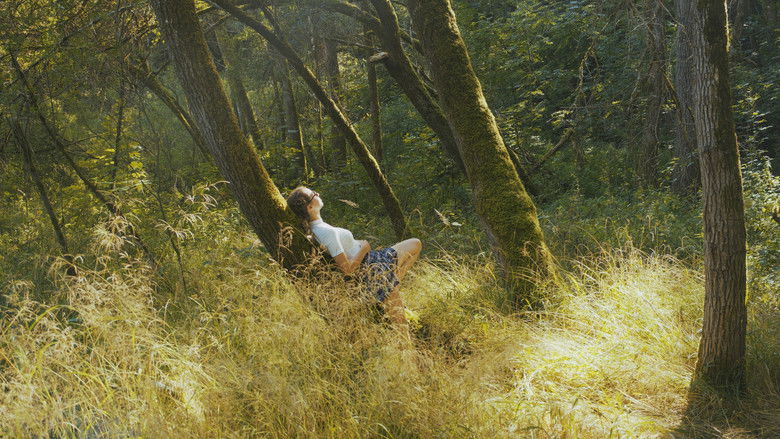 кадр из фильма Pilgrim