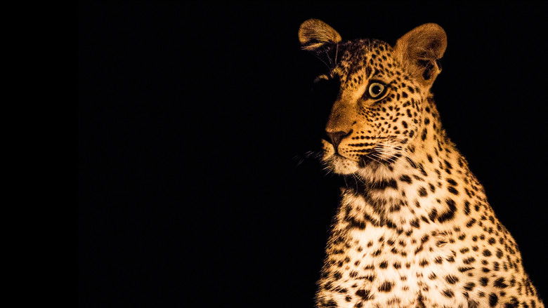 кадр из фильма Earth Live