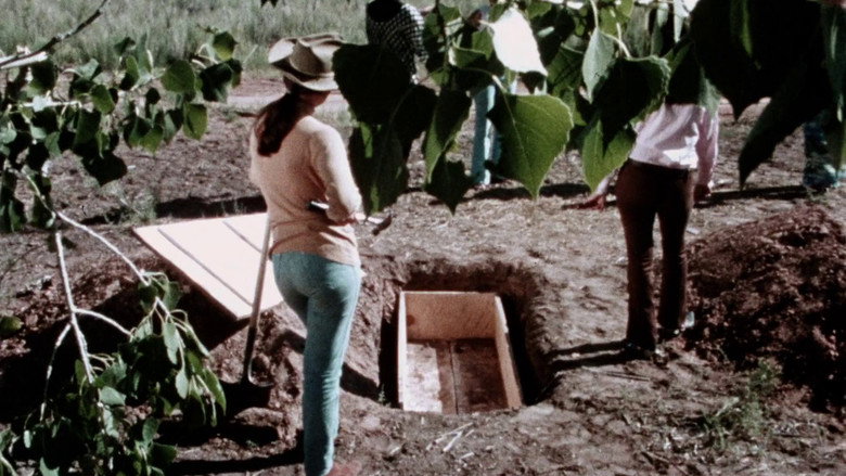 кадр из фильма The Female Bunch