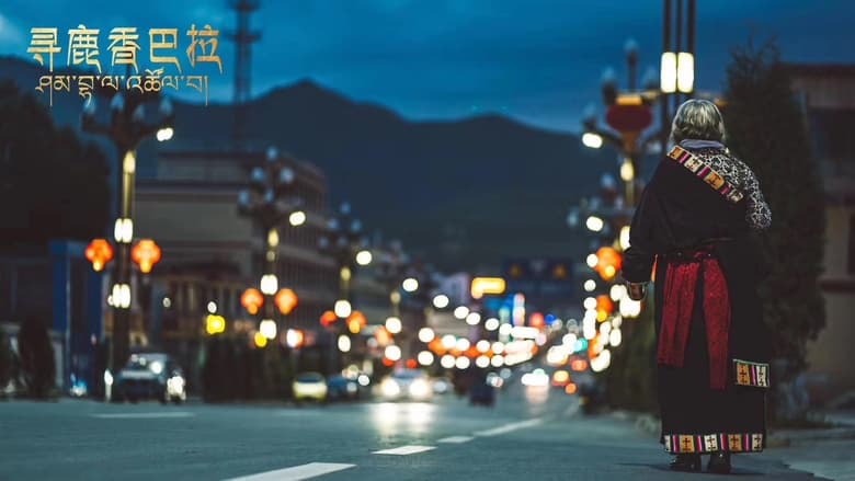 кадр из фильма 寻鹿香巴拉