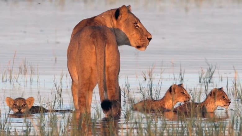 кадр из фильма The Lakeshore Killers