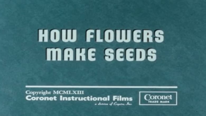 кадр из фильма How Flowers Make Seeds