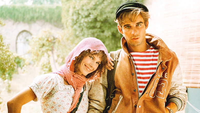 кадр из фильма Золушка '80