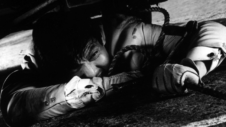 кадр из фильма Рождённый убивать