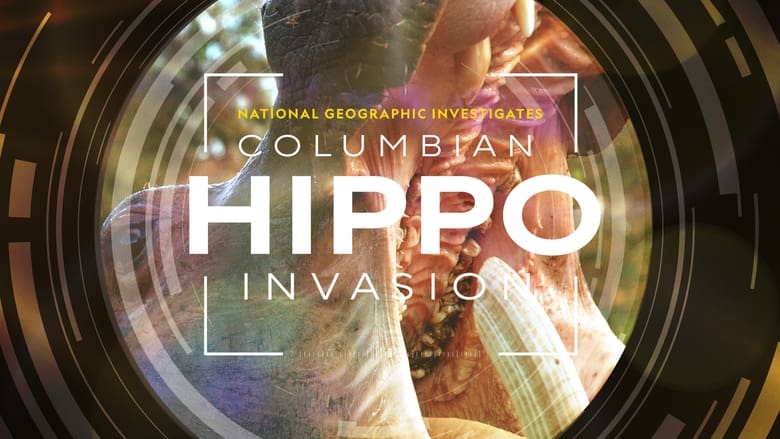 кадр из фильма National Geographic Investigates - Invaders: Colombia's Hippos