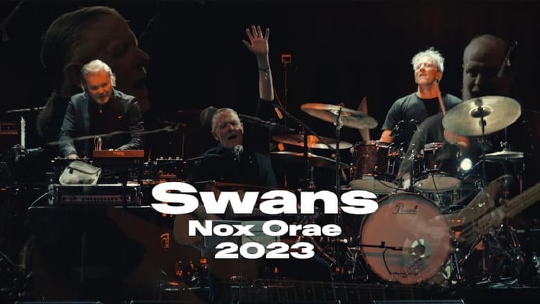 кадр из фильма Swans: Nox Orae 2023