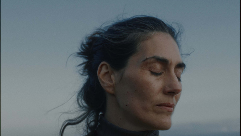 кадр из фильма Anastatica