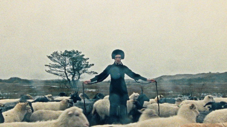 кадр из фильма Vannacht logeerde ik in mijzelf en vanochtend besloot ik er te blijven wonen