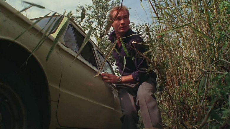 Америкэн бой