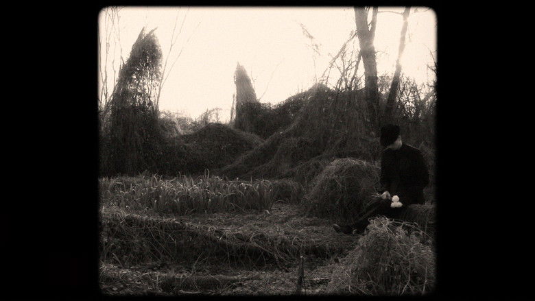 кадр из фильма Quiéreme Mucho