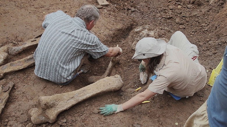кадр из фильма Древности Пермского края. Оханский слон
