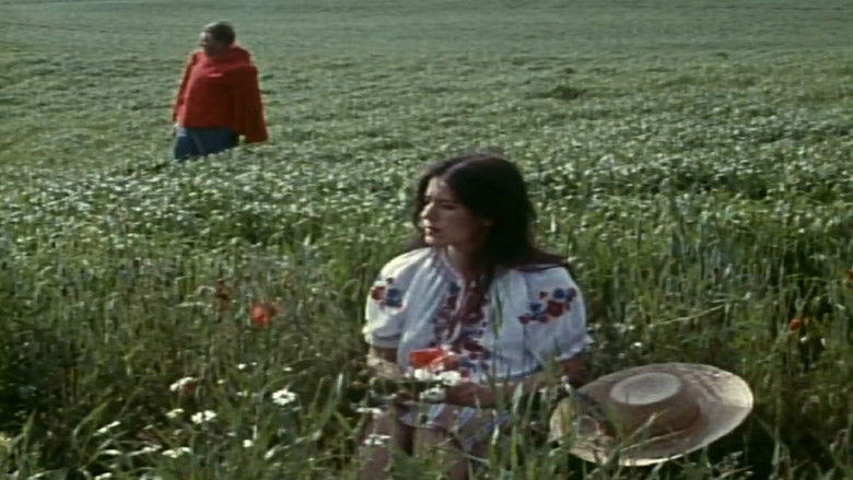 кадр из фильма Skarpretteren