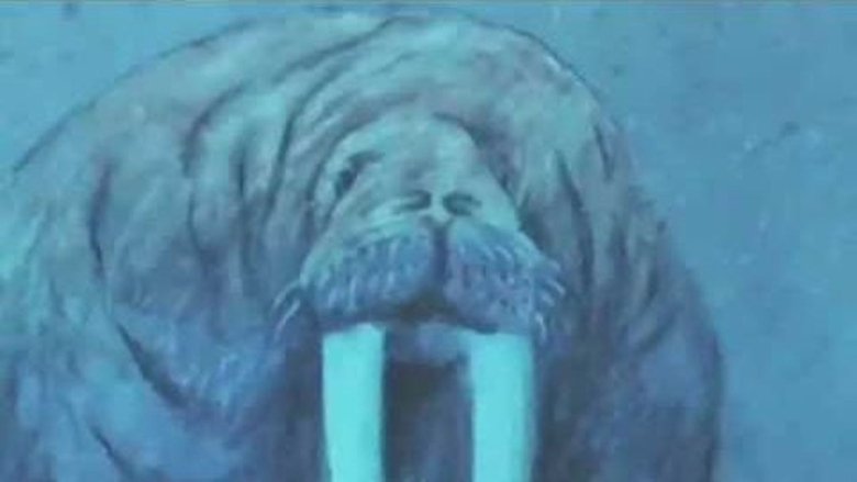 Могучая река