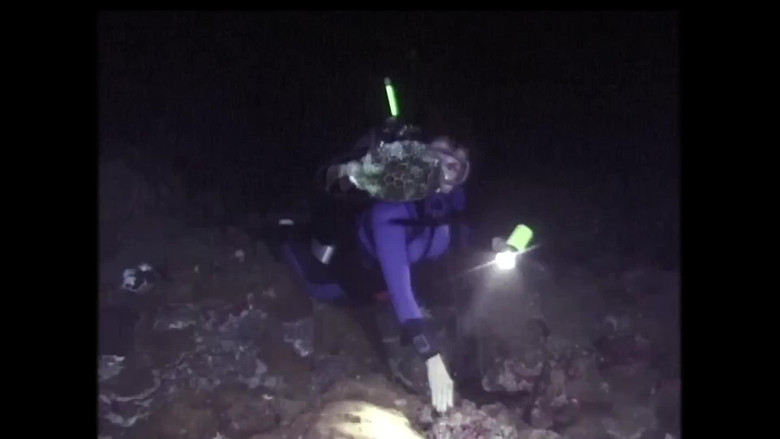 кадр из фильма The Health Of Our Oceans