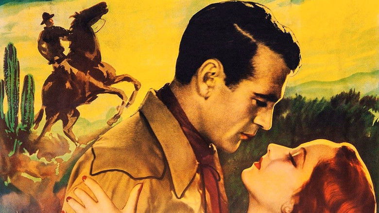 кадр из фильма Ковбой и леди