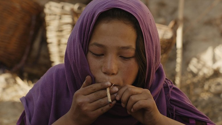 кадр из фильма Wolf and Sheep