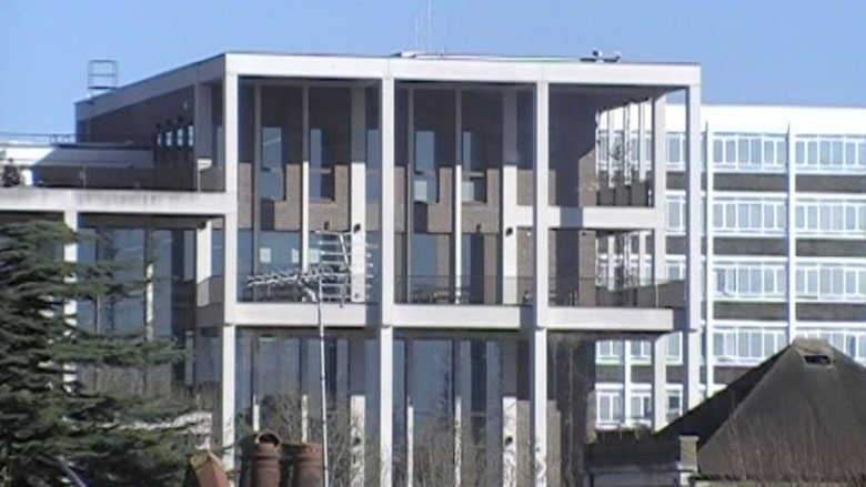 кадр из фильма Magician's Bird