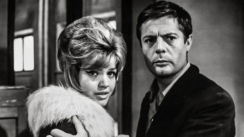 кадр из фильма Убийца