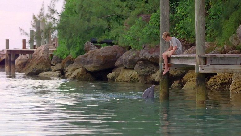 Мой друг дельфин Эхо