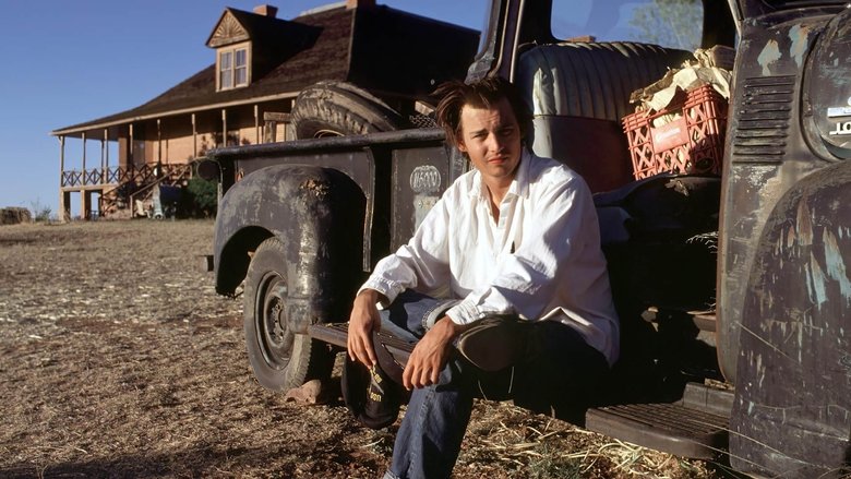 кадр из фильма Аризонская мечта