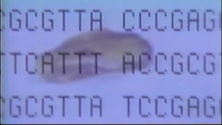 кадр из фильма The Real Jurassic Park