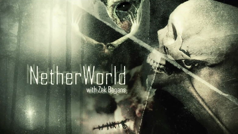 кадр из фильма NetherWorld: Exploring Paris Catacombs