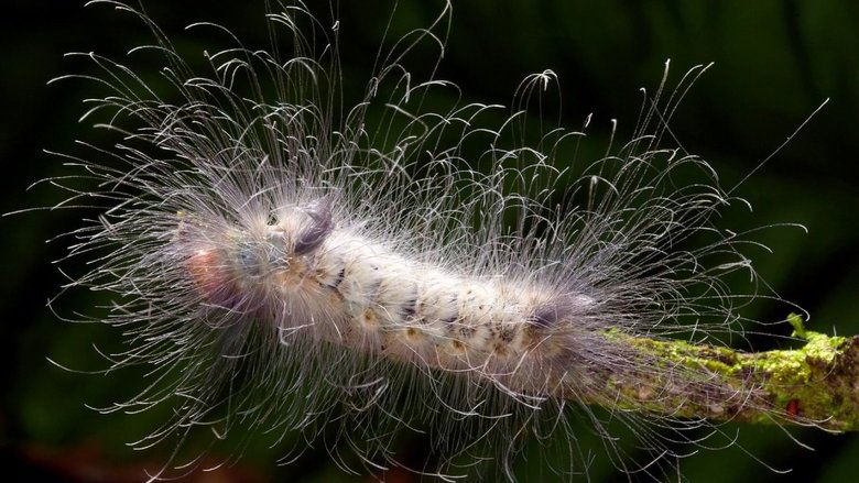 кадр из фильма Learning To See