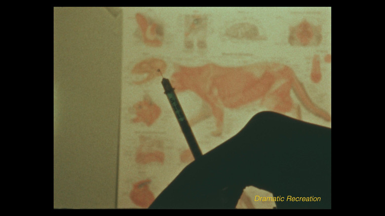 кадр из фильма Considering Cats