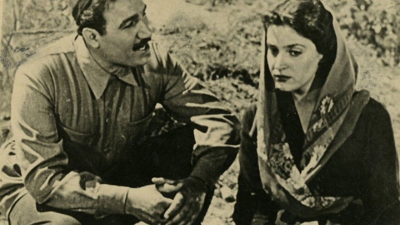 кадр из фильма Тень на дороге