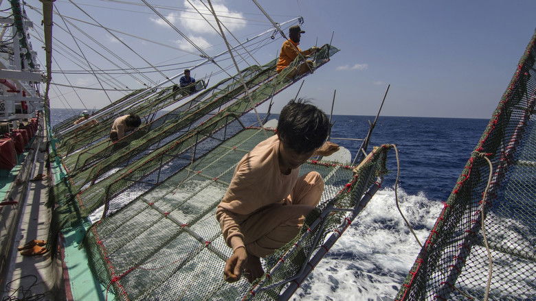 кадр из фильма 水路—遠洋紀行