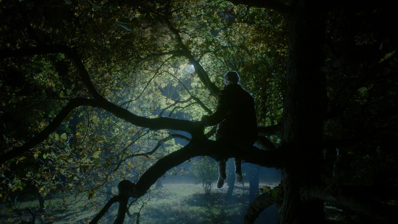 кадр из фильма Ööbik