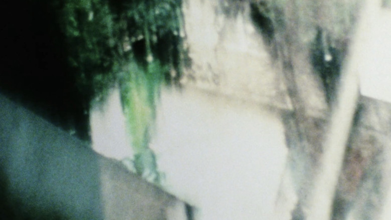 кадр из фильма Chimera